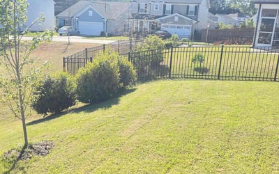 Photo of Brooks E.'s yard after getting lawn care in Durham, NC