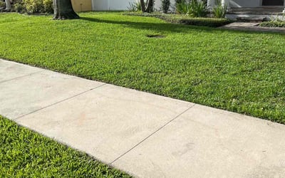 Photo of Licia R.'s yard after getting lawn care in Sanford, FL