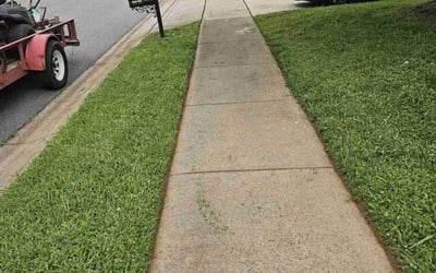 Photo of Christopher S.'s yard after getting lawn care in Panorama City, CA