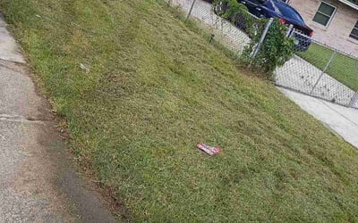 Photo of Jonathan C.'s yard after getting lawn care in Bristol, TN