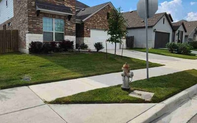 Photo of Glen L.'s yard after getting lawn care in Mesa, AZ