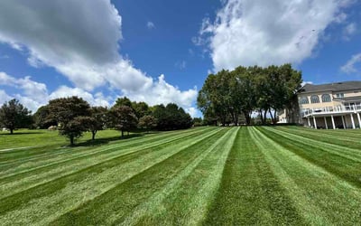 Photo of Laura B.'s yard after getting lawn care in Charlotte, NC