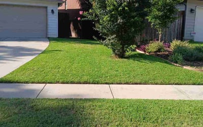 Photo of Daniel M.'s yard after getting lawn care in Roseville, CA