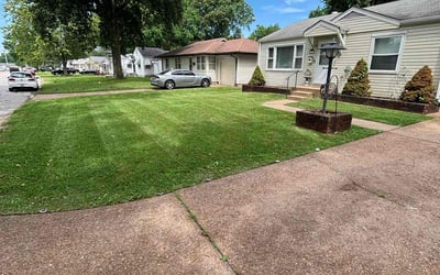 Photo of David R.'s yard after getting lawn care in Manassas, VA