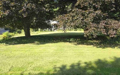 Photo of Jeff M.'s yard after getting lawn care in Westfield, MA