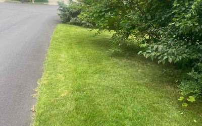 Photo of Lana J.'s yard after getting lawn care in North Providence, RI