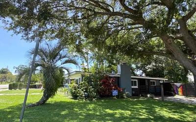 Photo of Shannon L.'s yard after getting lawn care in Princeton, TX