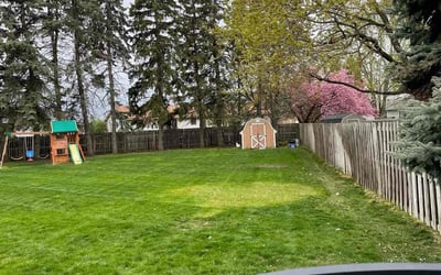 Photo of ajibayo a.'s yard after getting lawn care in Jenison, MI