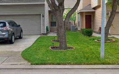 Photo of Stephanie A.'s yard after getting lawn care in Melrose, MA
