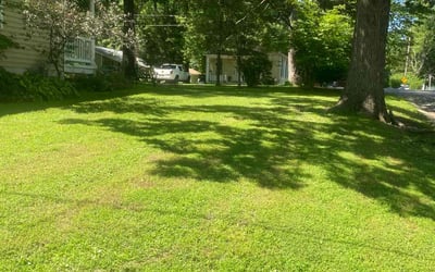 Photo of Brian N.'s yard after getting lawn care in Edwardsville, IL