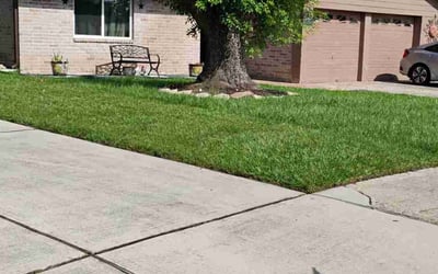Photo of Caroline D.'s yard after getting lawn care in Monroe, NC