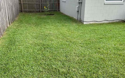 Photo of Cas P.'s yard after getting lawn care in Winter Park, FL
