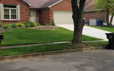 Photo of Ieisha L.'s yard after getting lawn care in Lexington, KY