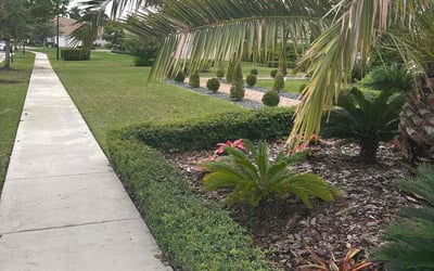 Photo of Kristy S.'s yard after getting lawn care in Davie, FL