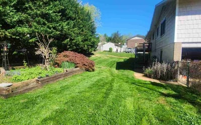 Photo of Sam A.'s yard after getting lawn care in Knoxville, TN