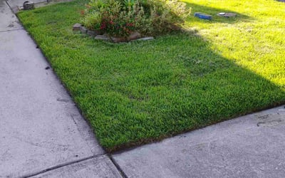 Photo of Danielle D.'s yard after getting lawn care in Wethersfield, CT