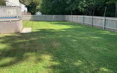 Photo of Robert L.'s yard after getting lawn care in East Syracuse, NY