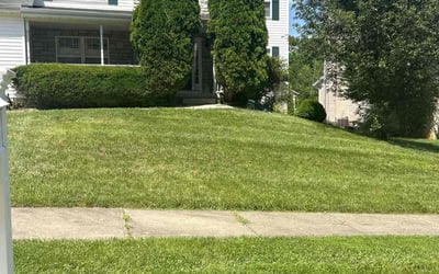 Photo of Debbie R.'s yard after getting tree care in Milford, OH