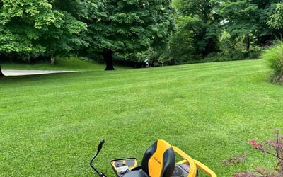 Photo of Jasmin G.'s yard after getting lawn care in Fort Thomas, KY