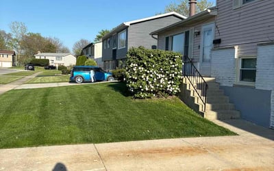 Photo of Tammi C.'s yard after getting lawn care in Country Club Hills, IL