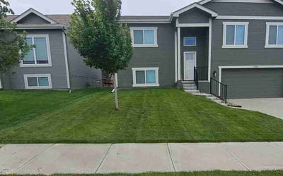 Photo of Helen P.'s yard after getting lawn care in Carbondale, IL