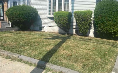 Photo of David V.'s yard after getting lawn care in Irvington, NJ
