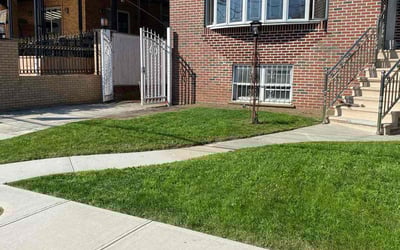 Photo of Debra M.'s yard after getting lawn care in Hillsborough, NJ