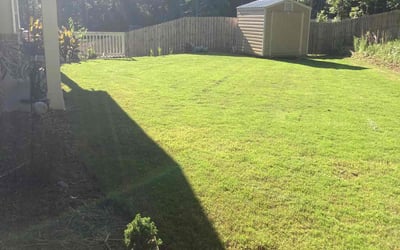 Photo of Shane O.'s yard after getting lawn care in Senoia, GA