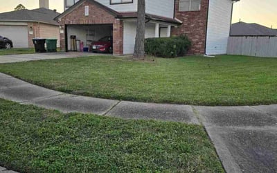 Photo of Jessica W.'s yard after getting lawn care in Norwalk, CA