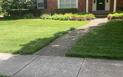 Photo of Megan T.'s yard after getting lawn care in Bloomfield Hills, MI