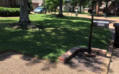 Photo of Amber E.'s yard after getting lawn care in Post Falls, ID