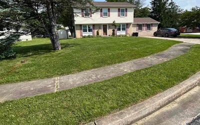 Photo of Gregory F.'s yard after getting lawn care in Annandale, VA