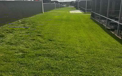 Photo of Brenda R.'s yard after getting lawn care in Gladstone, OR