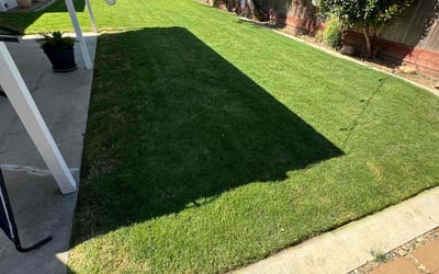 Photo of felicia s.'s yard after getting lawn care in Selma, CA