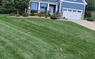 Photo of Deb K.'s yard after getting lawn care in Mc Donald, PA