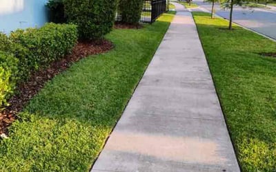 Photo of Angelique A.'s yard after getting lawn care in Orlando, FL