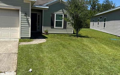 Photo of Mary I.'s yard after getting lawn care in Monterey, CA