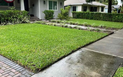 Photo of Alcedo P.'s yard after getting lawn care in Mount Dora, FL