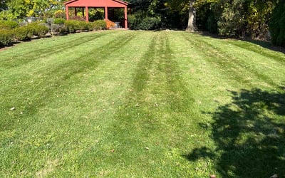 Photo of Sasha B.'s yard after getting lawn care in Clio, MI