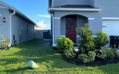 Photo of Sarah C.'s yard after getting lawn care in Orlando, FL