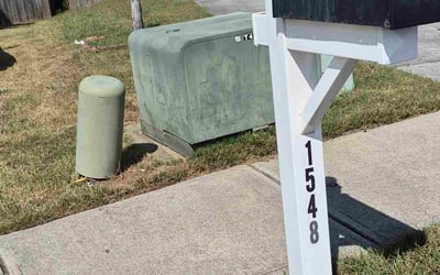 Photo of Sylvia C.'s yard after getting lawn care in Burlington, NC