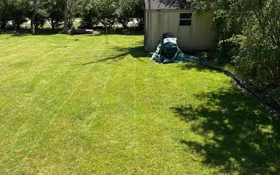 Photo of Darrell P.'s yard after getting lawn care in Homer Glen, IL