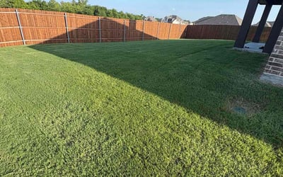 Photo of Santos R.'s yard after getting lawn care in Romeoville, IL