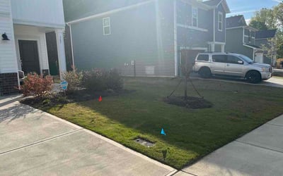 Photo of Carolyn Y.'s yard after getting lawn care in Capitol Heights, MD