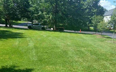 Photo of Kinley Y.'s yard after getting lawn care in Mount Airy, MD