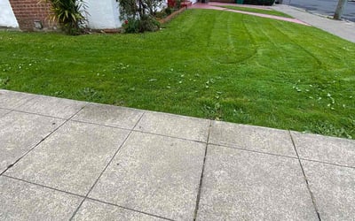 Photo of Harriet W.'s yard after getting lawn care in Castro Valley, CA