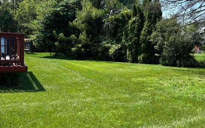 Photo of Natallie M.'s yard after getting lawn care in Southfield, MI