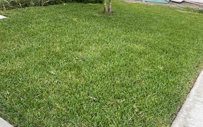 Photo of Sean C.'s yard after getting lawn care in Harwich, MA