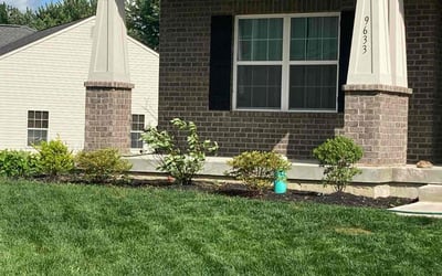 Photo of Shivonne S.'s yard after getting lawn care in Kingwood, TX