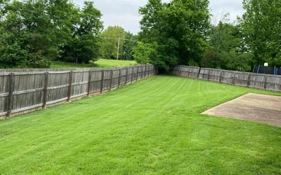 Photo of Caroline E.'s yard after getting lawn care in Bartlett, TN
